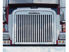 Grille Insert with 17 Vertical Bars