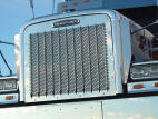 Punched Grille Insert with Freightliner Logo Holes