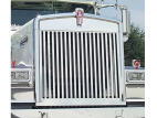 Replacement Grille Insert with 18 Vertical Bars