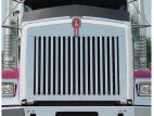 Replacement Grille Insert with 17 Vertical Bars