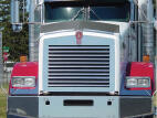 Replacement Grille Insert with 11 Louver-Style Bars